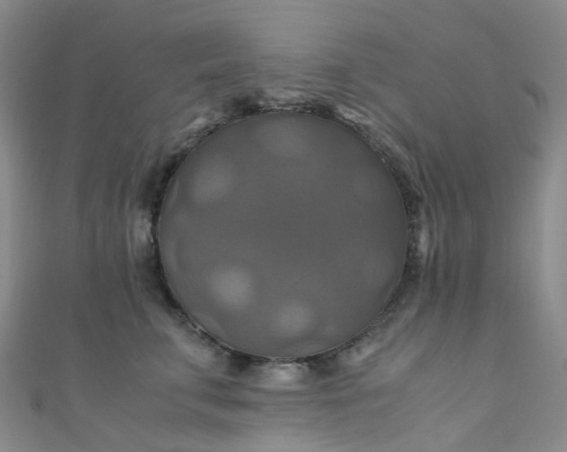 X0000110990711200907022116