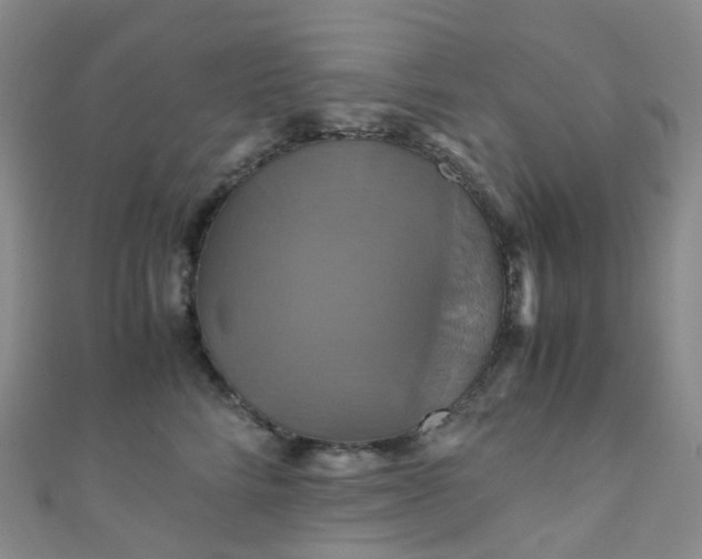 X0000110990712200907022116