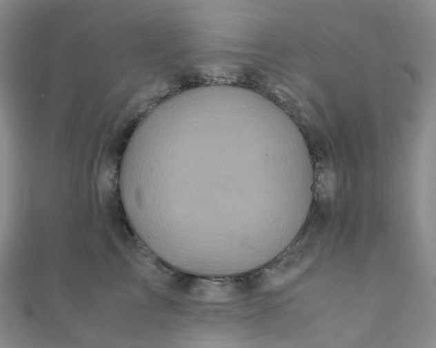 X0000110990713200907022116