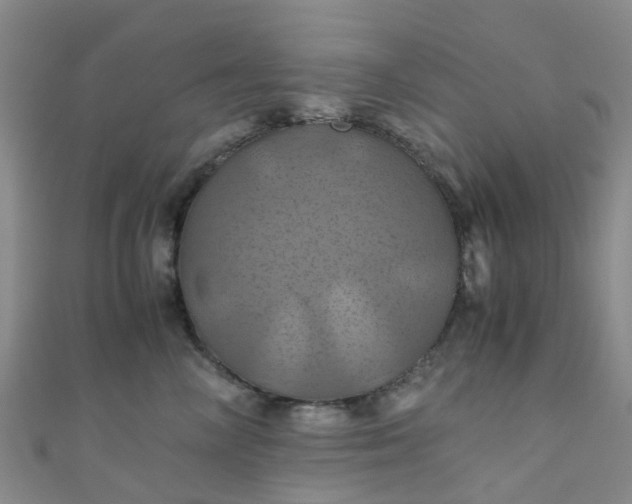 X0000110990714200907022116