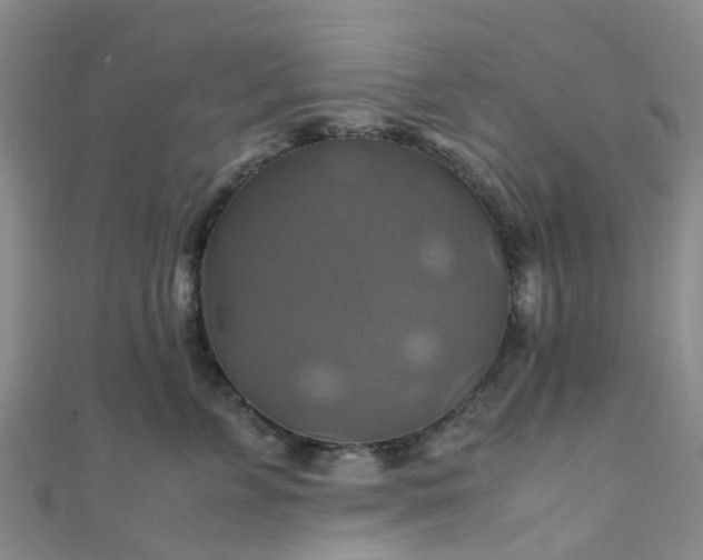 X0000110990715200907022116