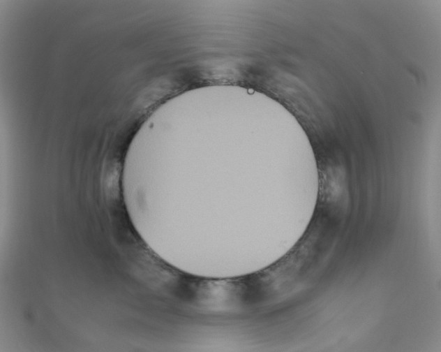 X0000110990717200907022116