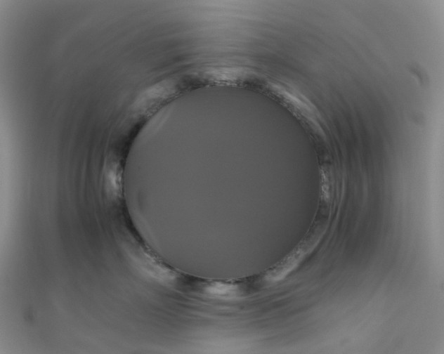 X0000110990718200907022116