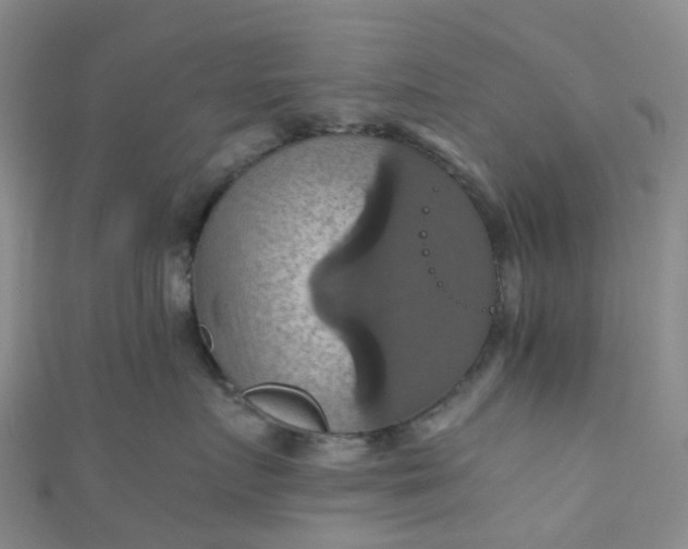 X0000110990719200907022116