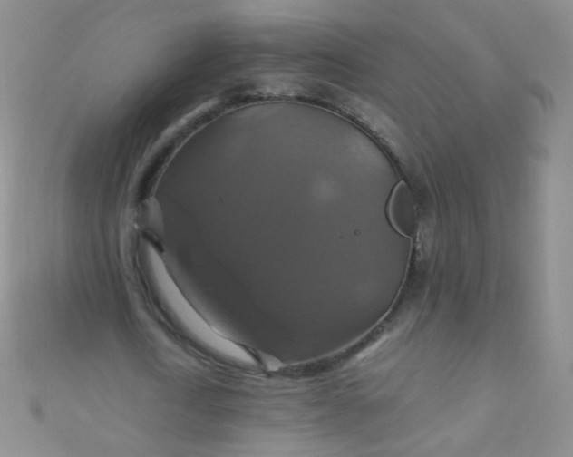 X0000110990722200907022116