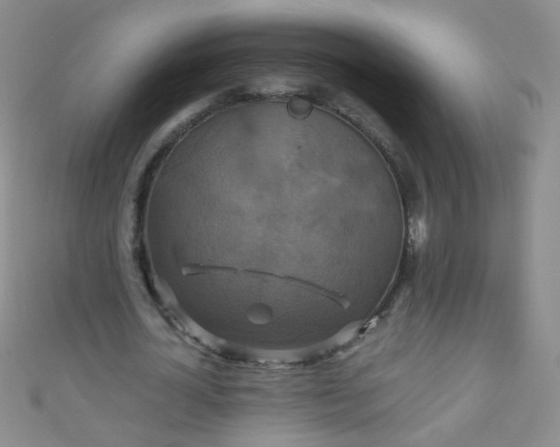 X0000110990724200907022116