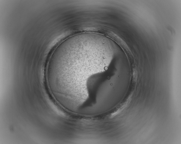 X0000110990725200907022116