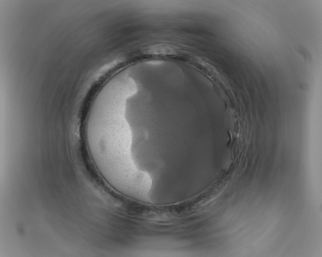 X0000110990727200907022116