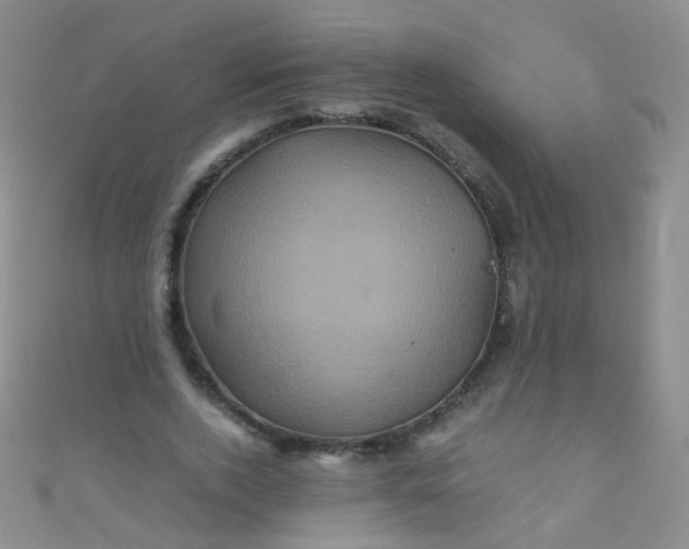 X0000110990728200907022116