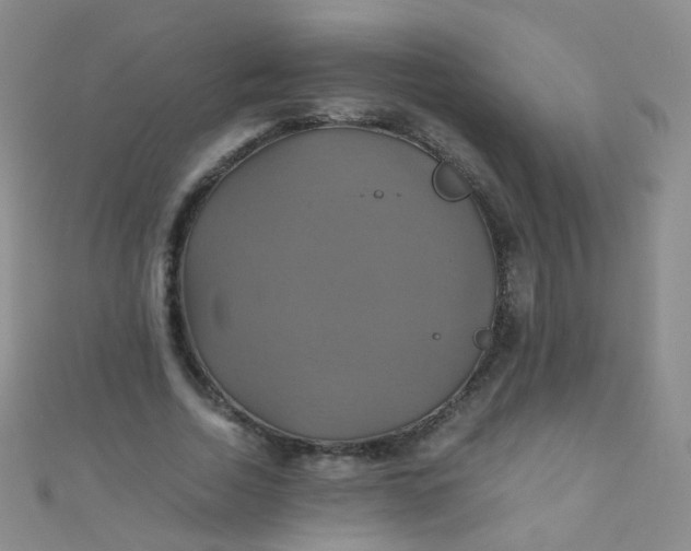 X0000110990730200907022116