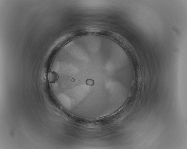 X0000110990731200907022116