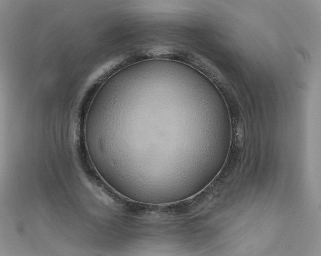 X0000110990732200907022116