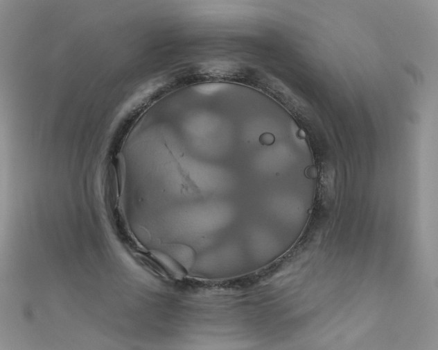 X0000110990734200907022116
