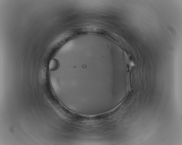 X0000110990735200907022116