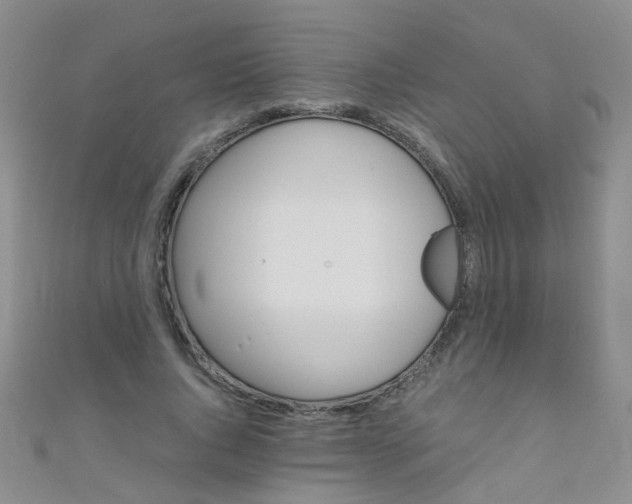 X0000110990736200907022116