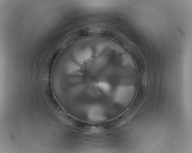 X0000110990737200907022116