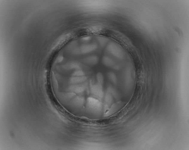 X0000110990738200907022116