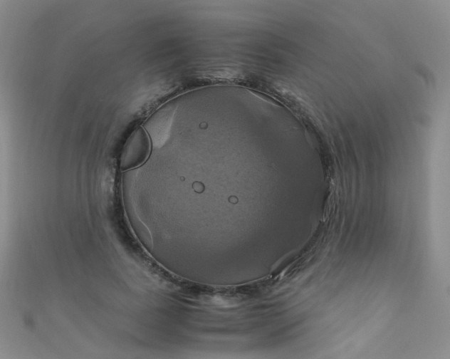 X0000110990739200907022116
