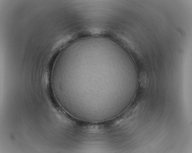 X0000110990740200907022116