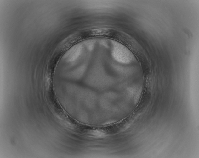 X0000110990741200907022116