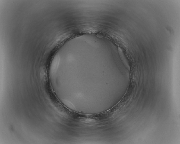 X0000110990743200907022116