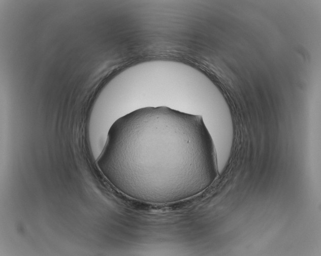X0000110990744200907022116