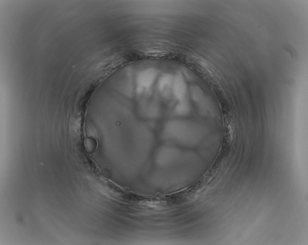 X0000110990745200907022116