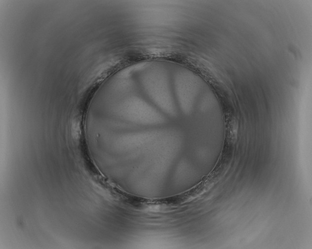 X0000110990746200907022116