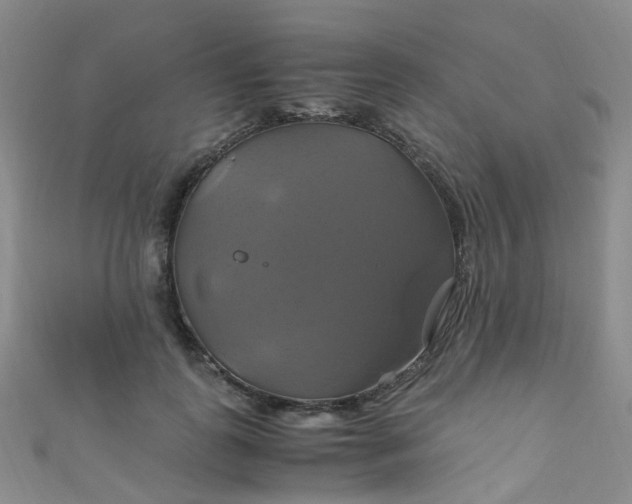 X0000110990747200907022116