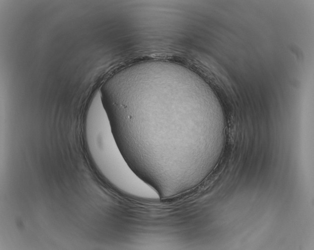 X0000110990748200907022116