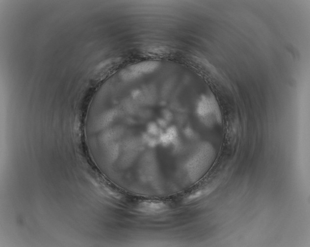 X0000110990749200907022116