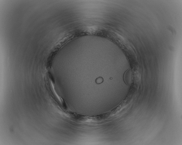 X0000110990750200907022116