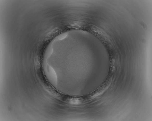X0000110990751200907022116