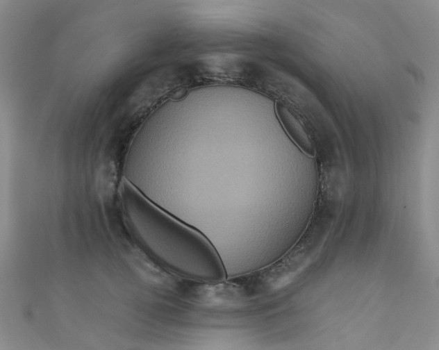 X0000110990752200907022116