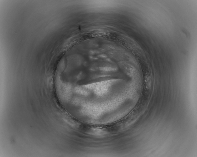 X0000110990753200907022116