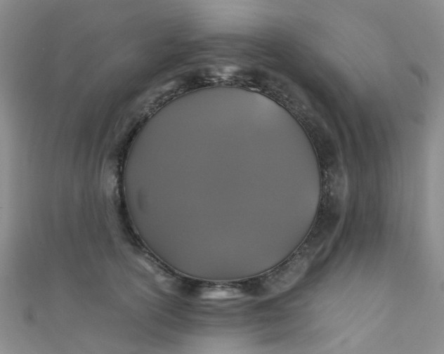 X0000110990754200907022116