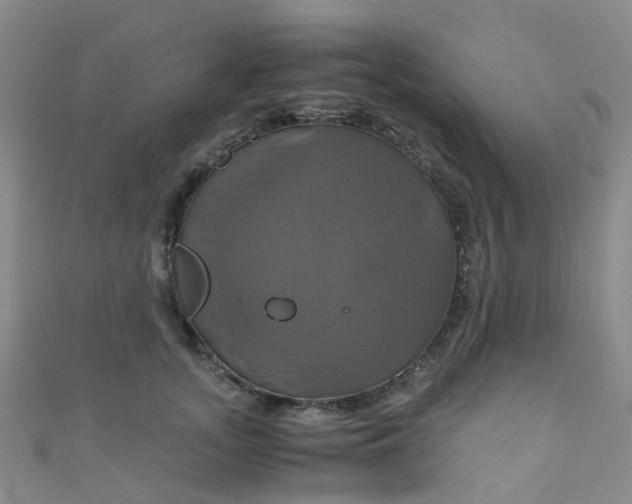 X0000110990755200907022116