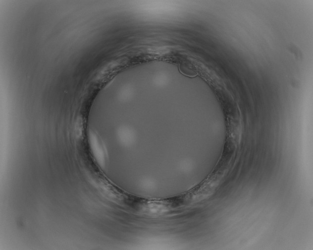 X0000110990758200907022116
