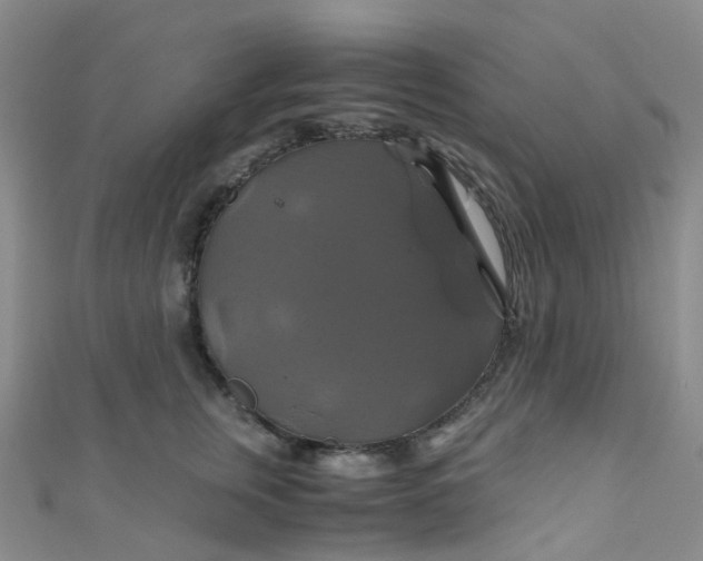 X0000110990759200907022116