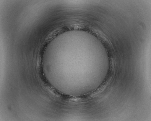 X0000110990760200907022116