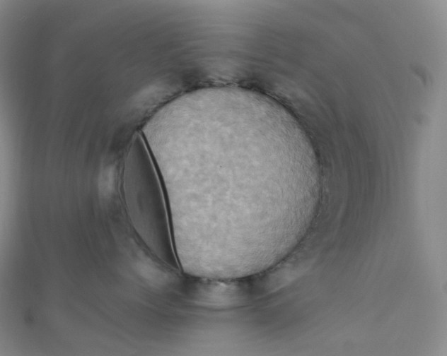 X0000110990768200907022116