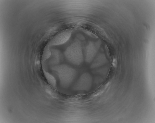 X0000110990771200907022116