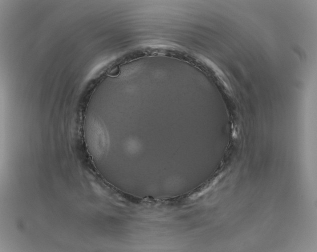 X0000110990775200907022116