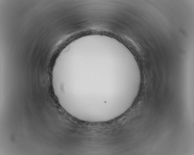 X0000110990776200907022116