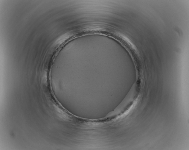 X0000110990777200907022116