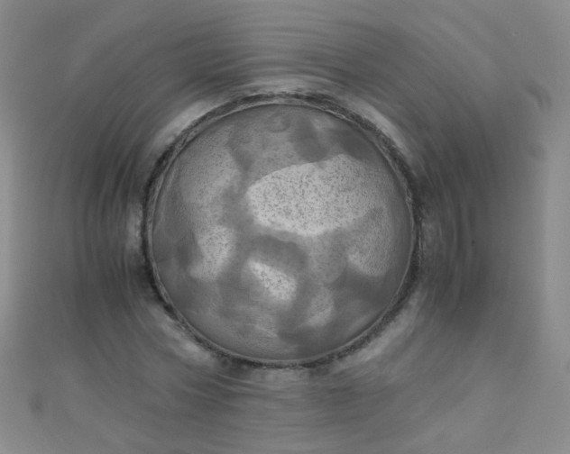 X0000110990778200907022116