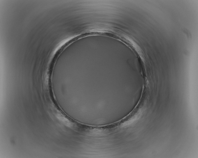 X0000110990779200907022116