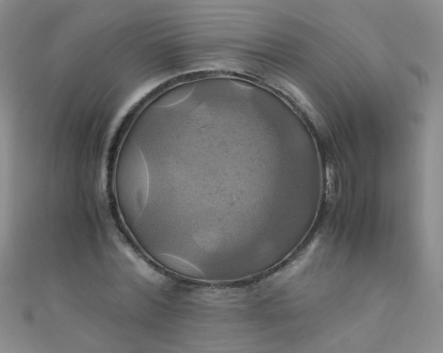 X0000110990780200907022116