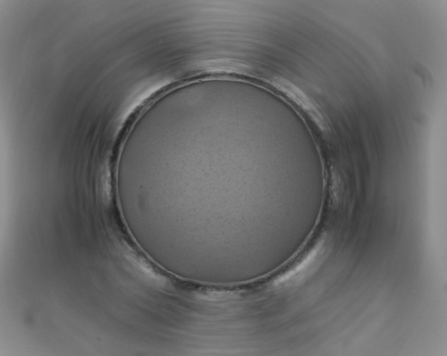 X0000110990782200907022116