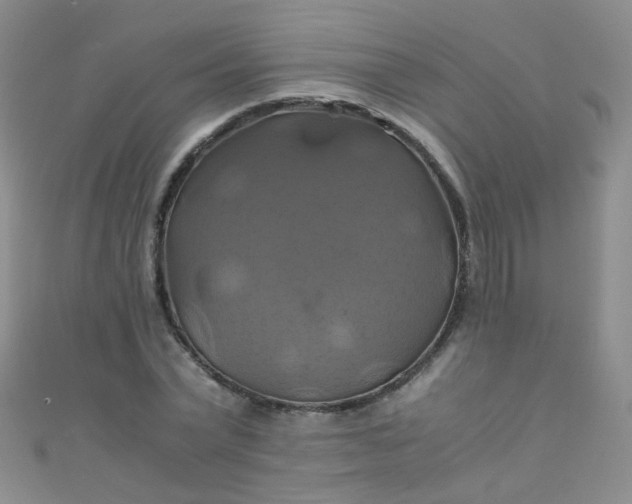 X0000110990783200907022115